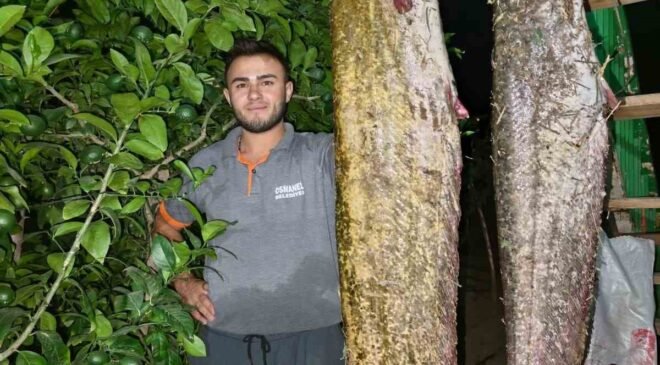 Sakarya Nehri’nden 34 kiloluk dev yayın çıktı