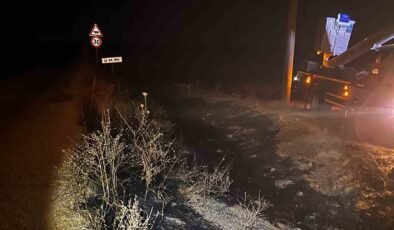 Sivrihisar’da elektrik tellerine çarpan kuş sonrası çıkan yangın söndürüldü