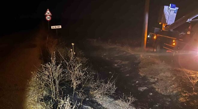 Sivrihisar’da elektrik tellerine çarpan kuş sonrası çıkan yangın söndürüldü