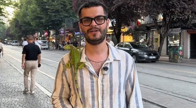 Sokakta iguana gören çocuklar yanına koştu