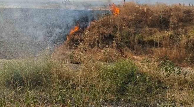 Şuhut’ta anız yangını paniğe neden oldu