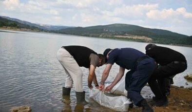 Uşak’ta Göğem Göleti’ne pullu sazan yavruları bırakıldı