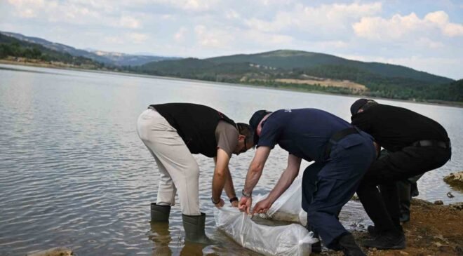 Uşak’ta Göğem Göleti’ne pullu sazan yavruları bırakıldı