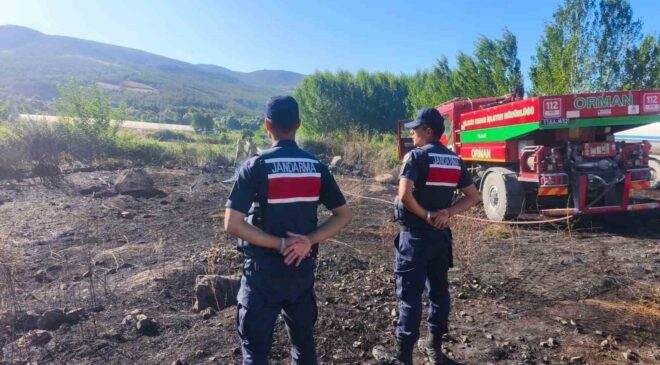 YHT hattında korkutan çalılık yangını
