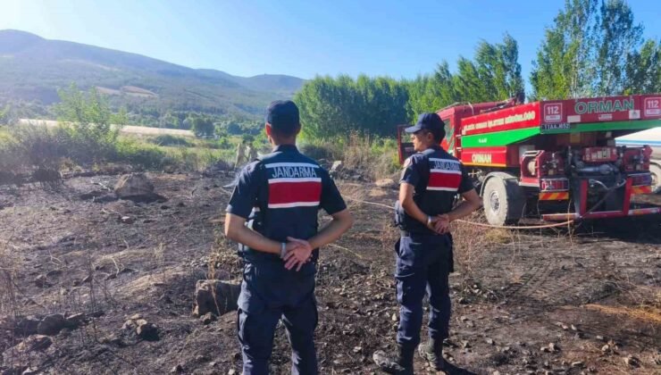 YHT hattında korkutan çalılık yangını