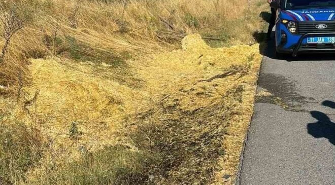 Yol kenarına atılan sigara izmariti yangına neden oldu