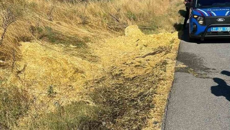 Yol kenarına atılan sigara izmariti yangına neden oldu