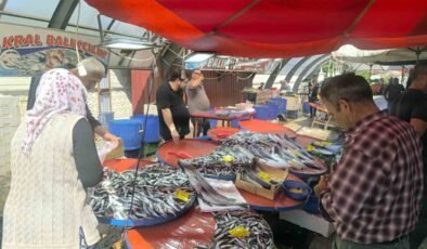 Afyonkarahisar’da balıkçı tezgahlarında hareketlilik başladı