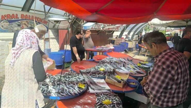 Afyonkarahisar’da balıkçı tezgahlarında hareketlilik başladı