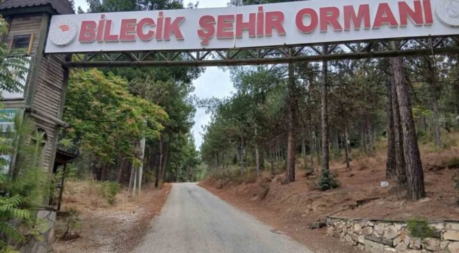 Bilecik Şehir Ormanı’nın yolları köstebek yuvasına döndü