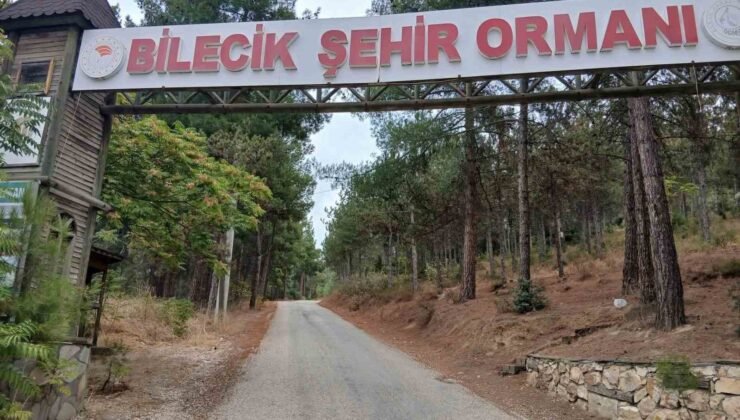 Bilecik Şehir Ormanı’nın yolları köstebek yuvasına döndü
