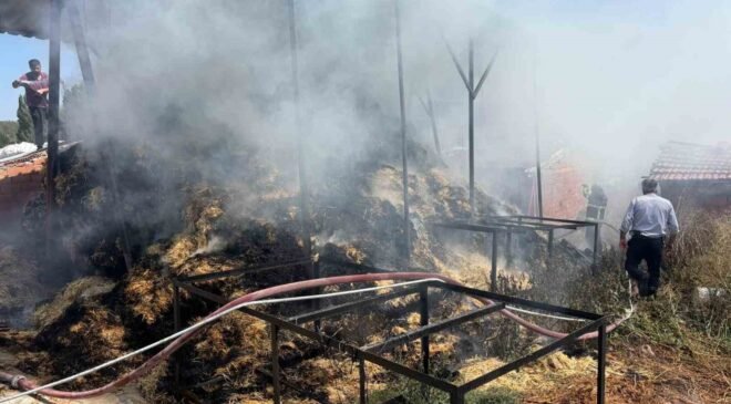 Bilecik’te iki köyde çıkan yangında çok miktarda saman balyası yandı