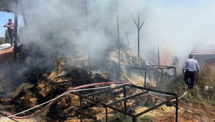 Bilecik’te iki köyde çıkan yangında çok miktarda saman balyası yandı