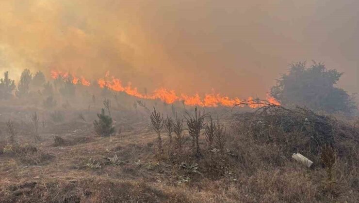 Bilecik’te makilik alanda çıkan yangın rüzgarın etkisiyle büyüyor