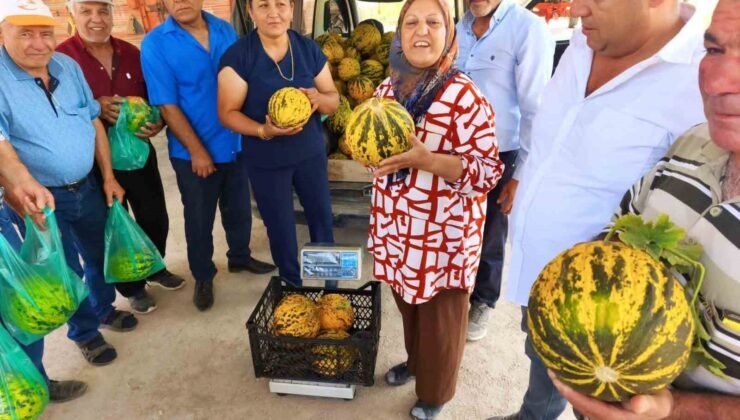 Bu kavun tek damla su verilmeden yetişiyor