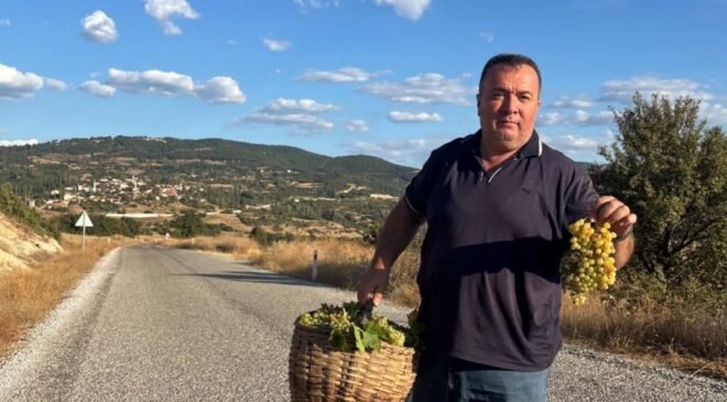 Emet ilçesi Sülye köyünde bağ bozumu heyecanı