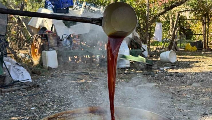 Eskişehir’de geleneksel yöntemlerle pekmez mesaisi