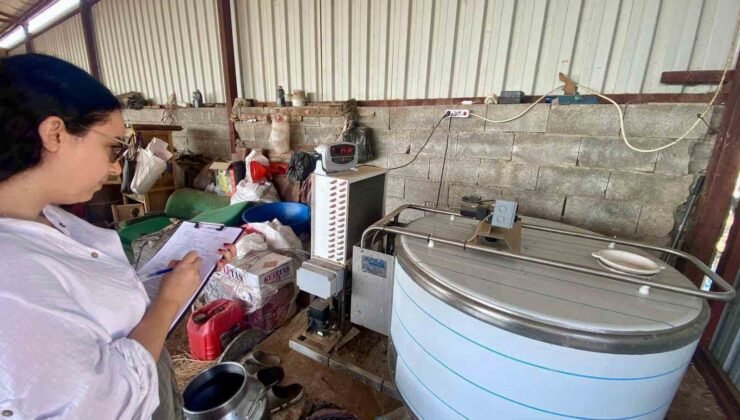 Evciler’de hayvancılık işletmelerine yönelik denetim