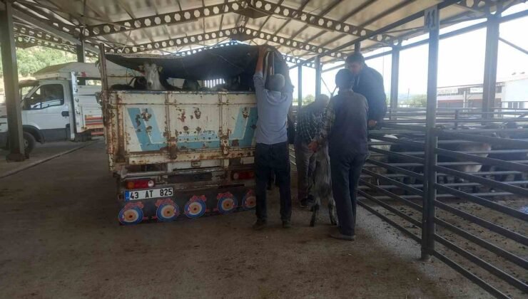 Gediz Belediyesi hayvan pazarı pazartesi günleri kurulacak