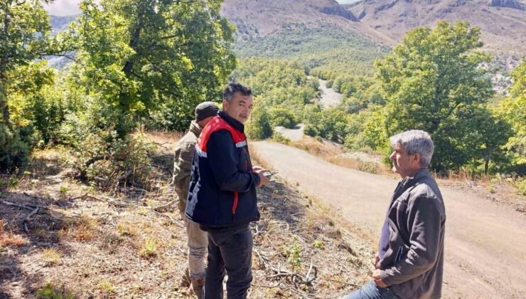 Kaybolan 9 büyükbaş hayvan dron ile bulundu