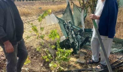 Kimliği belirsiz kişiler bahçe tellerine zarar verdi