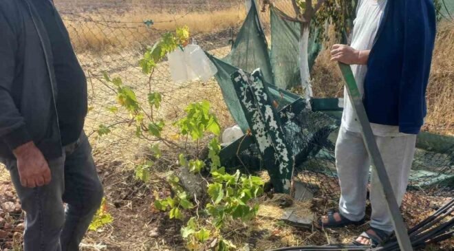 Kimliği belirsiz kişiler bahçe tellerine zarar verdi