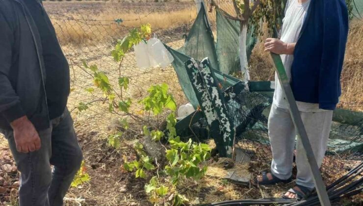 Kimliği belirsiz kişiler bahçe tellerine zarar verdi