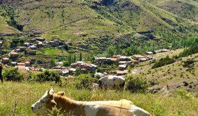 Kırsal dezavantajlı alanlara yönelik çalışmalar sürüyor