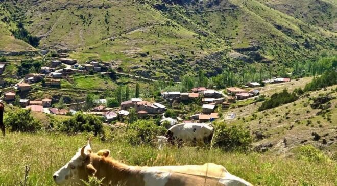 Kırsal dezavantajlı alanlara yönelik çalışmalar sürüyor
