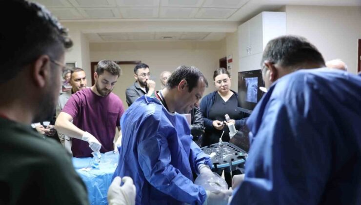 Kütahya’da uluslararası hekimlere ’mikrodalga ablasyon’ eğitimi