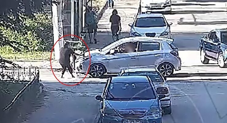 Minik Mavi’nin hayatını kaybettiği kazanın görüntüleri ortaya çıktı