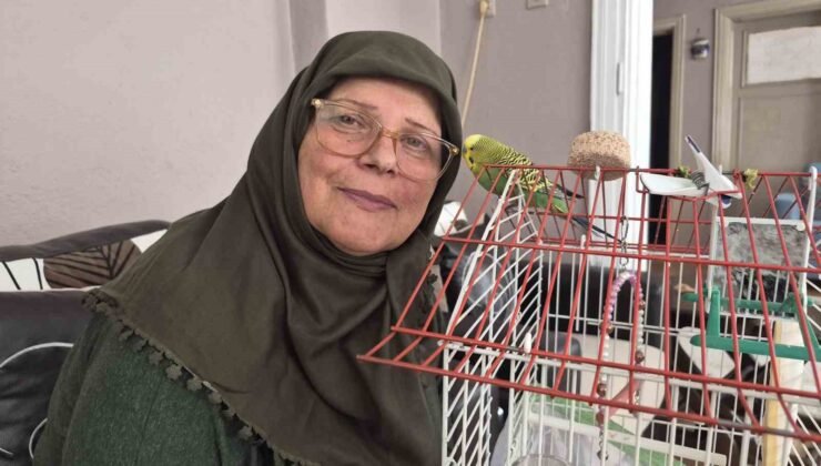 Ölmek üzereyken sahiplendiği muhabbet kuşu hayat arkadaşı oldu