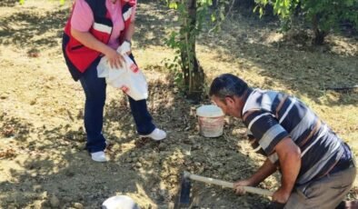 Pazarlar’da üreticilere bilinçli gübreleme desteği