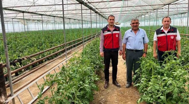 Simav’da seracılık faaliyetleri yerinde incelendi
