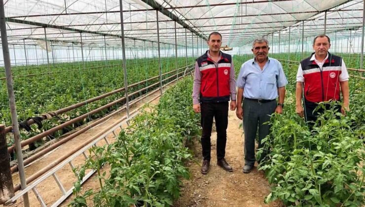 Simav’da seracılık faaliyetleri yerinde incelendi