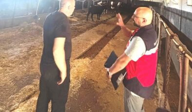 Tavşanlı’da Destek Projesi kapsamındaki ithal hayvanlar kontrolden geçirildi