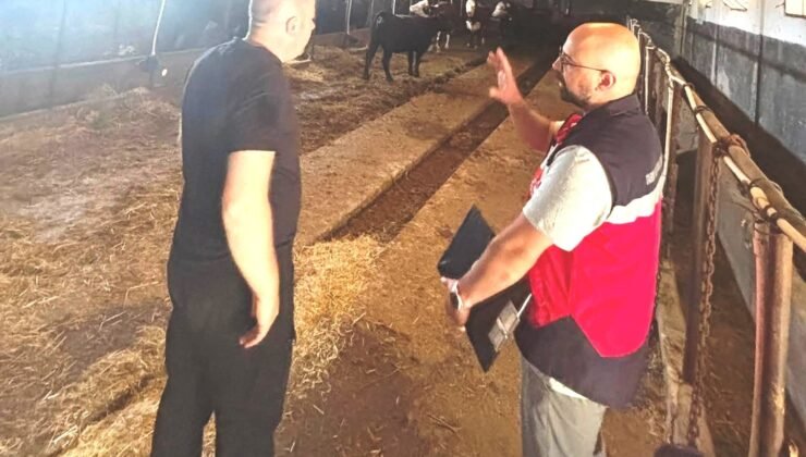 Tavşanlı’da Destek Projesi kapsamındaki ithal hayvanlar kontrolden geçirildi