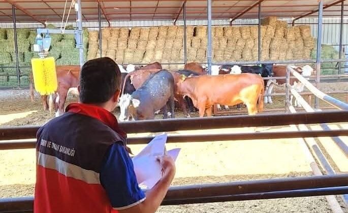 TİGEM işletmelerinde denetim yapıldı