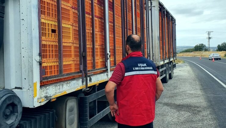 Uşak’ta hayvan hastalıklarına karşı yol kontrol ve denetimler aralıksız devam ediyor