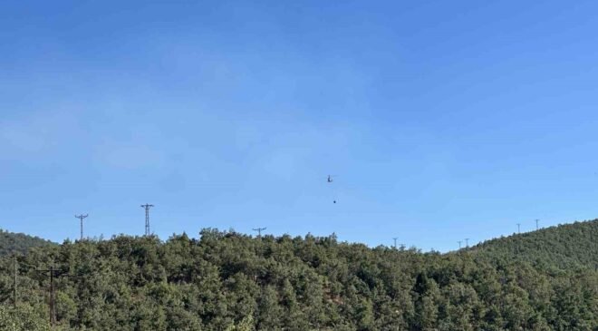 Uşak’ta meşelik alanda çıkan yangın kontrol altına alındı