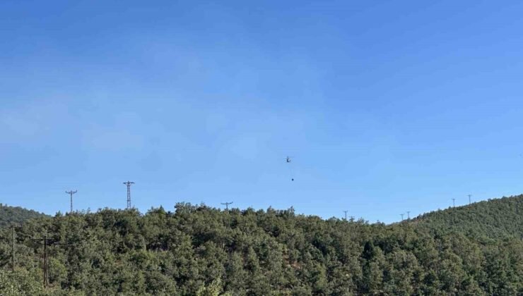 Uşak’ta meşelik alanda çıkan yangın kontrol altına alındı