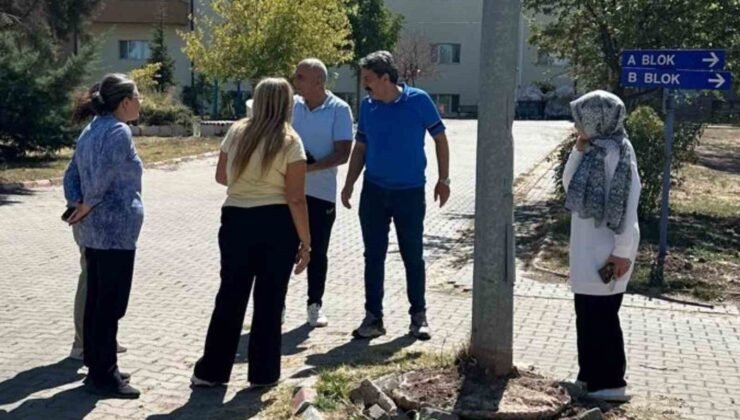 Yeni sezon öncesi yurtlarda çalışmalar sürüyor
