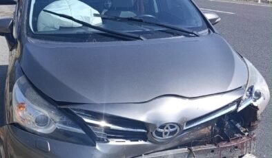 Yola aniden çıkan koyun kazaya sebep oldu, 1 yaralı