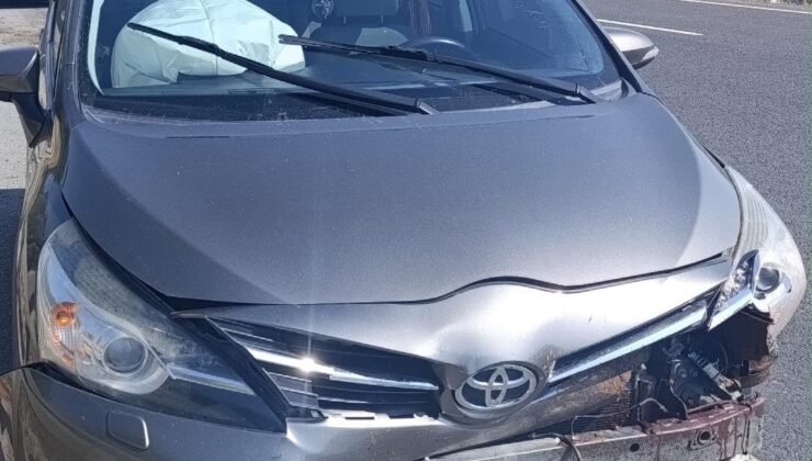 Yola aniden çıkan koyun kazaya sebep oldu, 1 yaralı