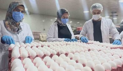 Yumurta fiyatlarına kısa vadede zam beklenmiyor
