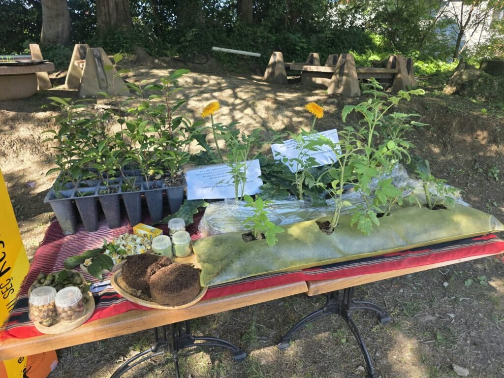 Rize gastronomisinde yeni dönem: Bal, mandalina ve çay atıkları ekonomiye kazandırılıyor