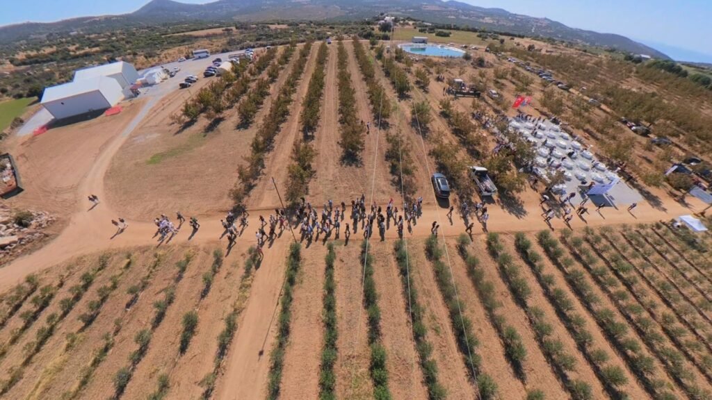 Çanakkale’nin zeytinyağı dünya sahnesinde: Ninurta dünya altıncısı