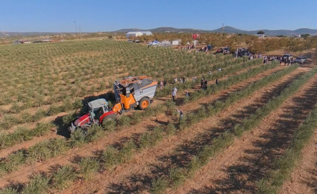 Çanakkale’nin zeytinyağı dünya sahnesinde: Ninurta dünya altıncısı