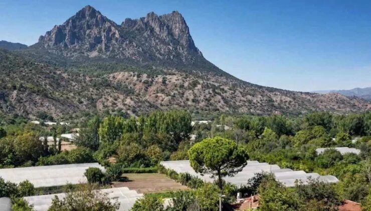 Alpagut-Atalan Altın-Gümüş Madeni Projesi’nde Yürütmeyi Durdurma Kararı