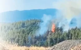 Antalya’da ormanları kundaklayan altı kişi gözaltına alındı